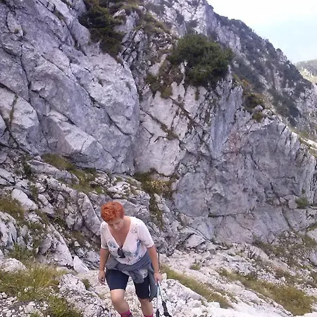 Family Tubej krevet i doručak 3*