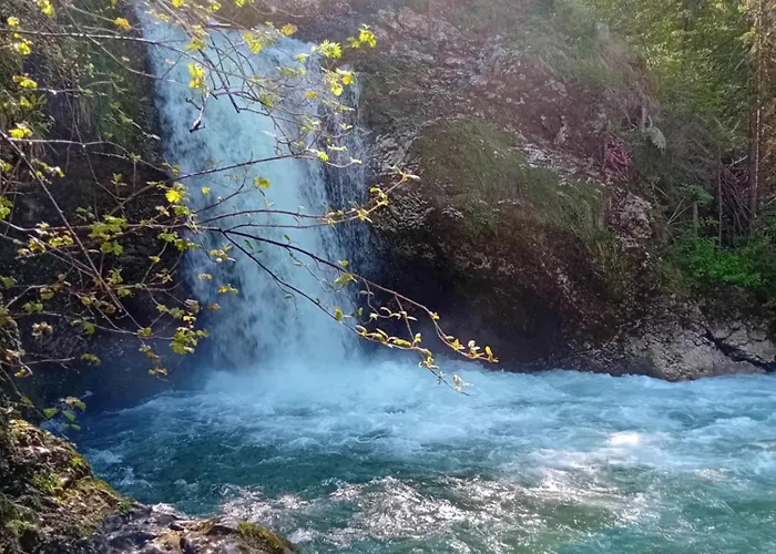 Bed & Breakfast Family Tubej Bohinj