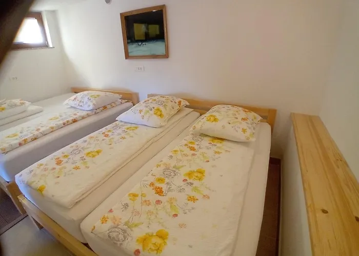 Family Tubej 3* Bohinj